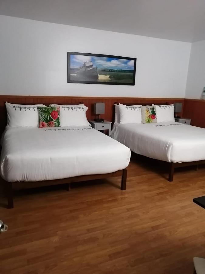 Hotel Fleurs Karaibes Saint-Alexandre-de-Kamouraska Exteriér fotografie